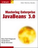 Mastering Enterprise JavaBeans 3.0