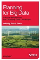 Free eBook: Planning for Big Data