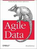 Agile Data