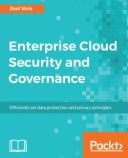 Enterprise Cloud Security and Governance
