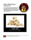 Pablo’s SOLID Software Development